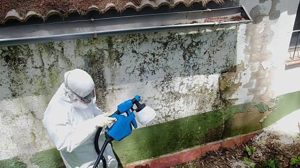Trusted Mold Testing service in New Providence, PA - Cheap Mold Removal